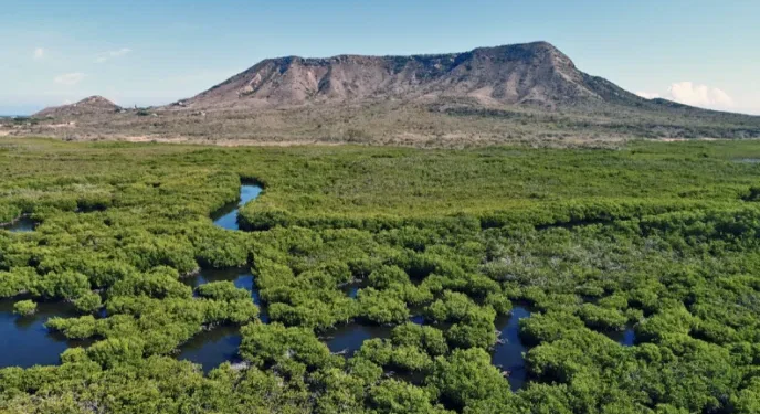 Denuncian Empresa desafía la ley ambiental y deslinda humedal conectado al Parque Manglares de Estero Balsa
