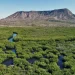 Denuncian Empresa desafía la ley ambiental y deslinda humedal conectado al Parque Manglares de Estero Balsa