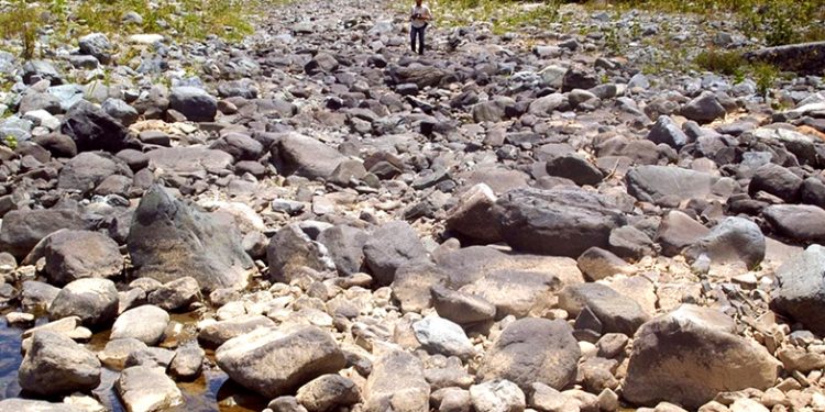 Sequía sigue y se agrega temperatura calurosa en el país