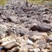 Sequía sigue y se agrega temperatura calurosa en el país