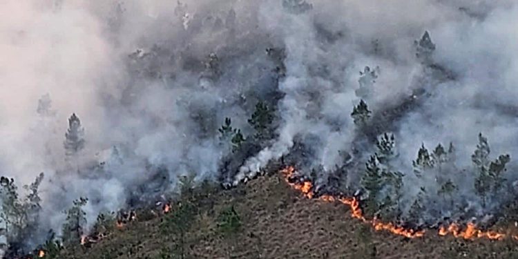 Medio Ambiente dice que sofocó el incendio en Valle Nuevo