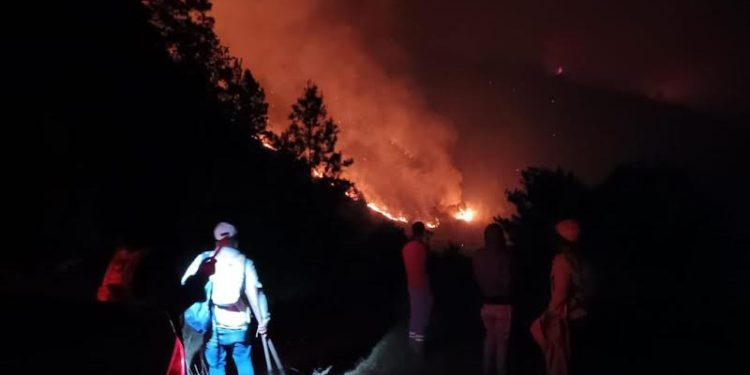 Imponen garantía económica a hombre que provocó incendio en Valle Nuevo