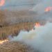Muere agricultor carbonizado en medio de fuego en finca de arroz en Laguna Salada
