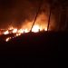 Incendios afectan miles de matas de Pinos en Hondo Valle y Juan Santiago Elías Piña 
