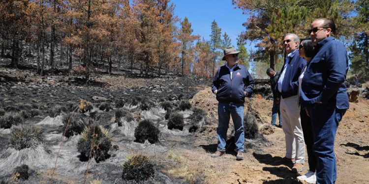 Abinader dice que reforestarán zonas afectadas incendios