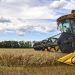Ucrania saluda el «desbloqueo» del acuerdo del grano y pide a Rusia que cese el «sabotaje»