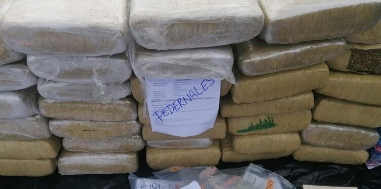 Procuraduría incinera más de 600 kilogramos de cocaína y marihuana