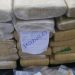 Procuraduría incinera más de 600 kilogramos de cocaína y marihuana