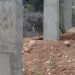 Denuncian apropiación ilegal de terrenos y construcciones en área protegida de el Morro en Montecristi