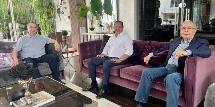 PLD se reserva el 20 % de las candidaturas en todos los niveles de elección