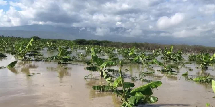 COE reporta dos personas desaparecidas tras inundaciones en el sur
