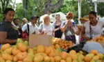 De mangos y flores