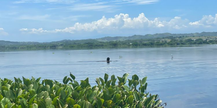 Autoridades investigan desaparición de un pescador encontrado muerto en Presa Maguaca-Montecristi