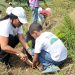 Voluntariado Banreservas
