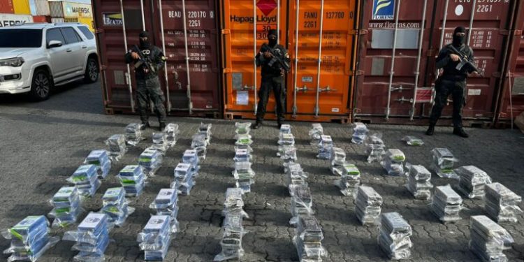 Frustran envío de 278 paquetes presumiblemente cocaína a francia