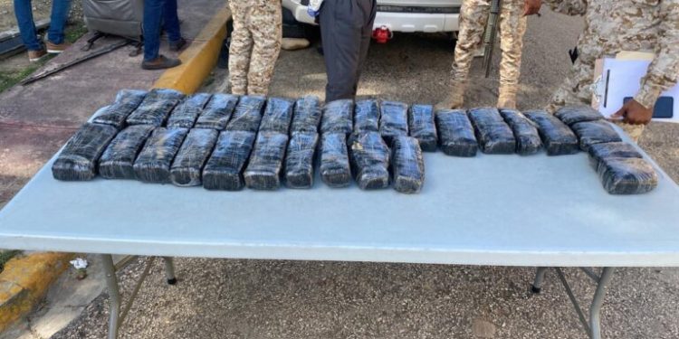 Incautan más de 500 libras presumiblemente marihuana en Elías Piña