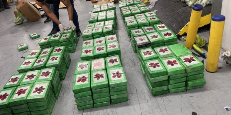 Ocupan 400 paquetes presumiblemente cocaína en Boca Chica