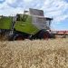 La ONU clausura su cumbre sobre alimentación con preocupación por la crisis del grano