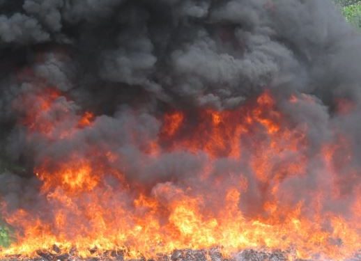 Incineran otros 200 kilogramos de drogas ocupadas en recientes operativos