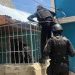 Trasciende detención de narcocriminal Luisito la Uva y Mano suave en Santiago