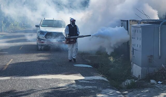 Registran 6 mil 101 casos de dengue en el año; Salud Pública dice seguirá en aumento