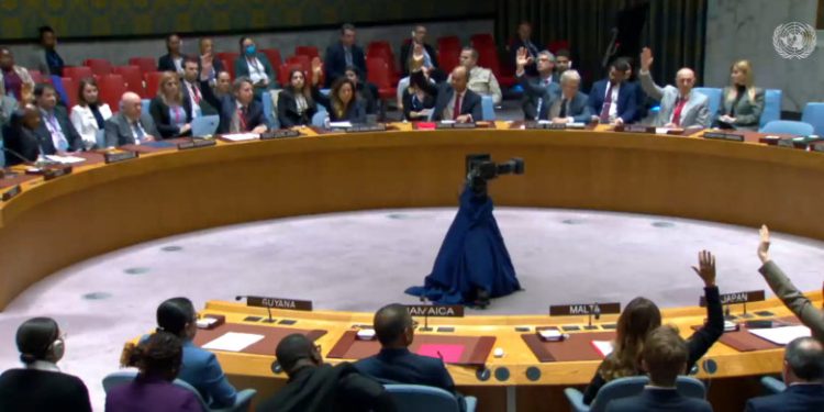 Consejo de Seguridad ONU aprueba fuerza internacional para Haití