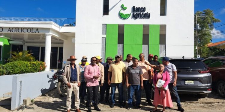 Productores avícolas en Monte Plata denuncian  van a la  quiebra por cierre de la frontera