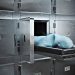 Florida ejecuta a un reo sentenciado por el asesinato de dos mujeres en 1996