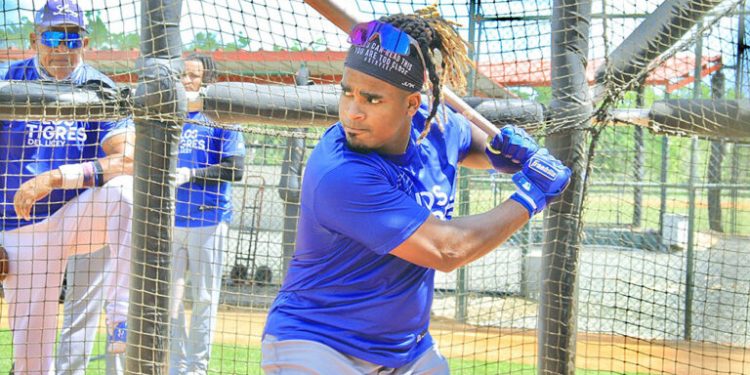 Liz, Moyers, Leyba y Jorge Bonifacio se integran al Licey