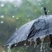 Vaguada provocará aguaceros, tormentas eléctricas y ráfagas de viento este viernes
