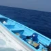 Repatrían 14 migrantes dominicanos detenidos cuando intentaban llegar a PR