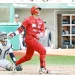 Canó elevó a los Diablos a la victoria sobre Yankees