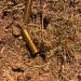 Muere uno de varios haitianos intentaron despojar de armas militares en zona la Vigía Dajabón