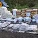 La maldición de las drogas