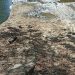 Haití abre canal de Juana Méndez y bajó caudal del río Masacre en la Vigía Dajabón