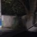 Asaltan a un tractorista y penetran también a casa habitada para robar en la Vigía Dajabón