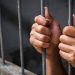 Prisión preventiva contra cabecillas de estructura del microtráfico que operaba en Navarrete