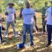Seaboard realiza primera Jornada de Reforestación del 2024 en los Humedales del Río Ozama