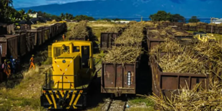 Muere en Bahoruco obrero del CAC tras caer de un tren de una locomotora en marcha