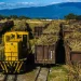 Muere en Bahoruco obrero del CAC tras caer de un tren de una locomotora en marcha