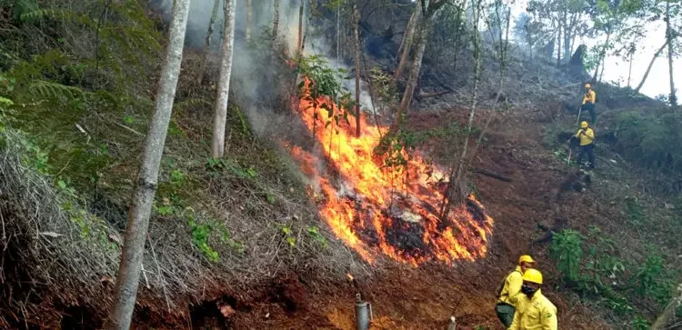 Proliferación de fuegos forestales