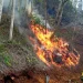 Proliferación de fuegos forestales