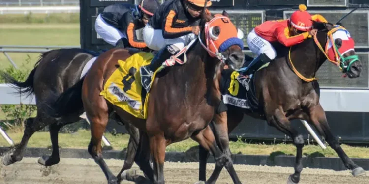 Jinete Jonathan Saldaña gana tres carreras en el Quinto Centenario