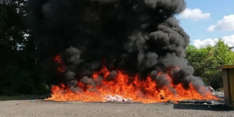 Procuraduría incinera otros 283 kilogramos de drogas ocupadas durante operativos