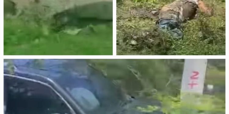 Agricultor pierde la vida tras ser envestido por otro vehículo en Carbonera