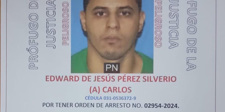 Capturado hombre implicado en doble homicidio por presuntos conflictos entre bandas en Santiago