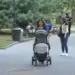 Alertan sobre ola de atracos en el Central Park de Nueva York