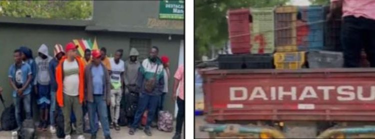 G2 y uniformados del ejército detienen dos dominicanos transportaban 12 indocumentados en túnel de camión