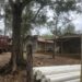 Presuntos haitianos asaltan golpean y roban en  residencia de alcalde en la frontera Dajabón   