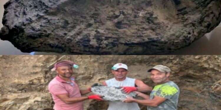 Hallan la piedra de ámbar más grande de toda la historian en Puerto Plata